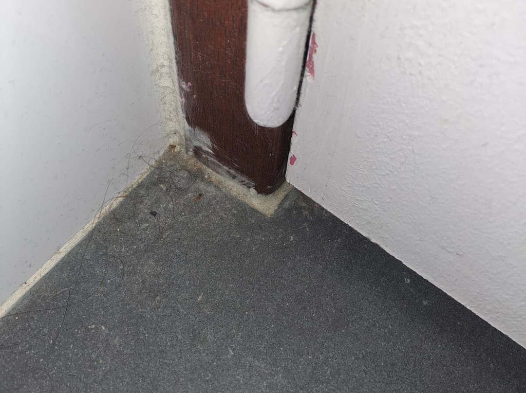 Hotel du Moulin主图