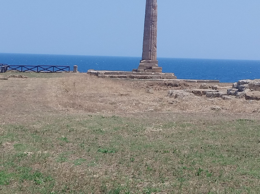 Museo e Parco Archeologico Nazionale di Capo Colonna-克罗托内必去景点