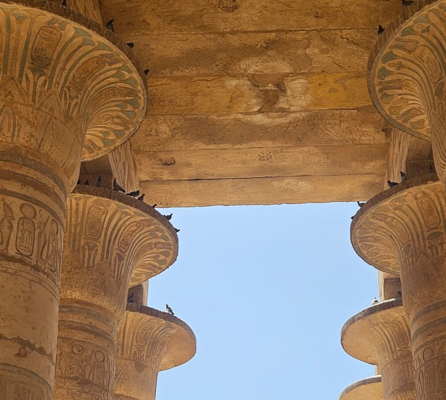 Marsa Alam Tours景点图片