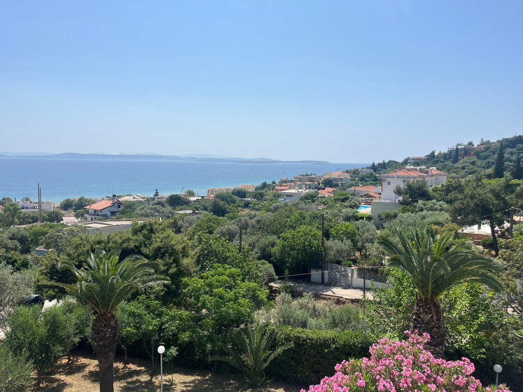 Melia Sol Art Studios主图