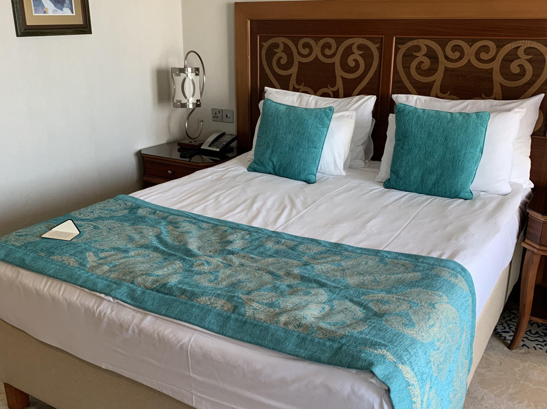 The Arkin Colony Hotel主图