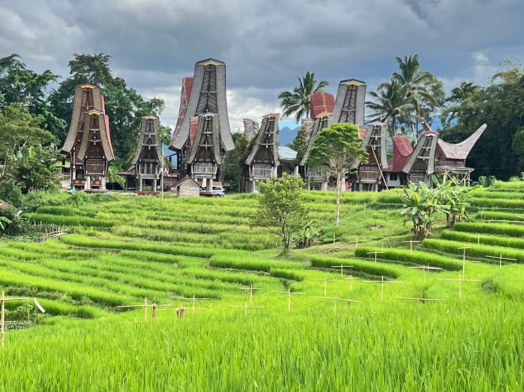TORAJA TOUR WITH GUIDE SERVICE.景点图片
