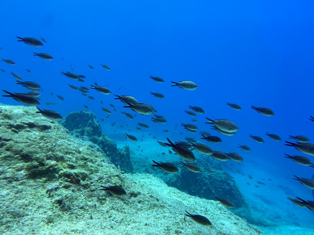 We Shall Sea Scuba Dive-Chora必去景点