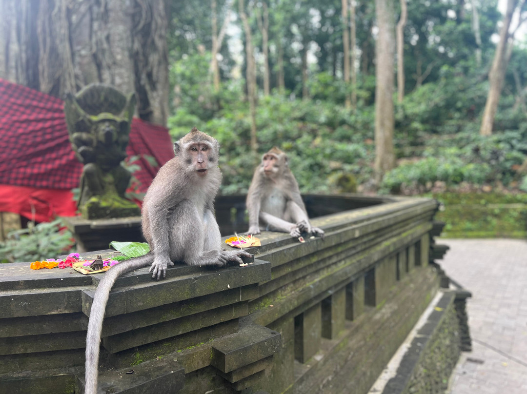 Ubud Car & Scooter Rental-Sayan必去景点