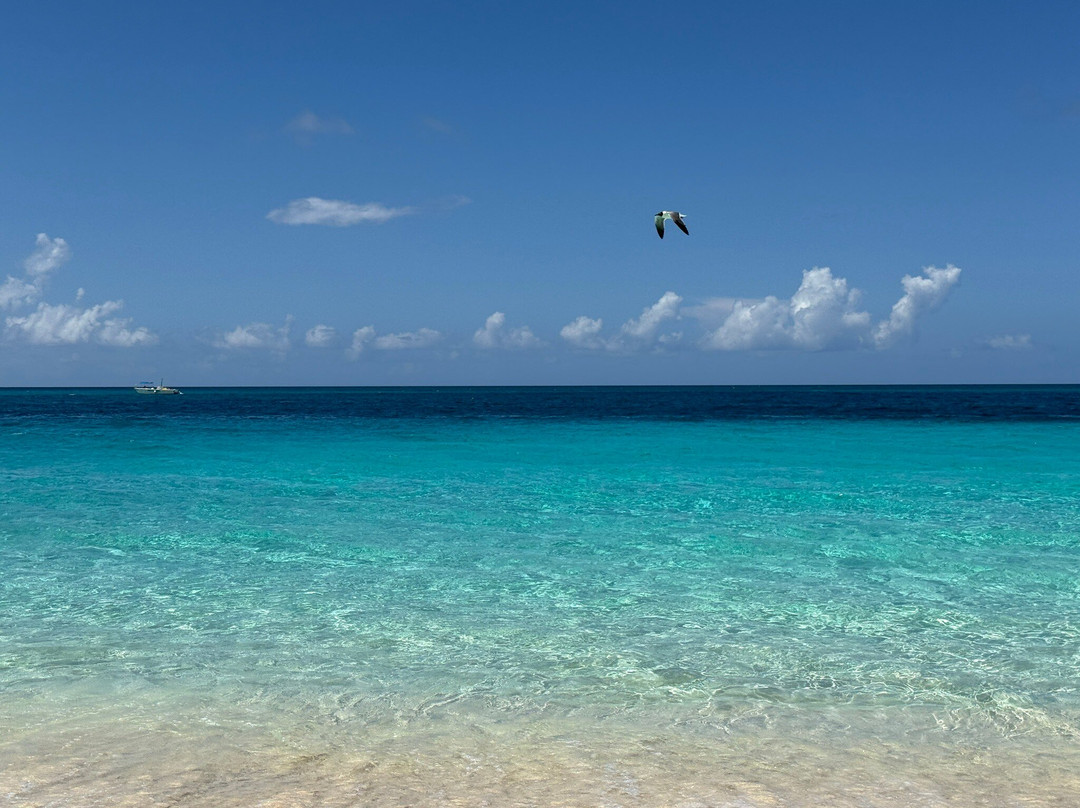 Cabbage Beach-拿骚必去景点