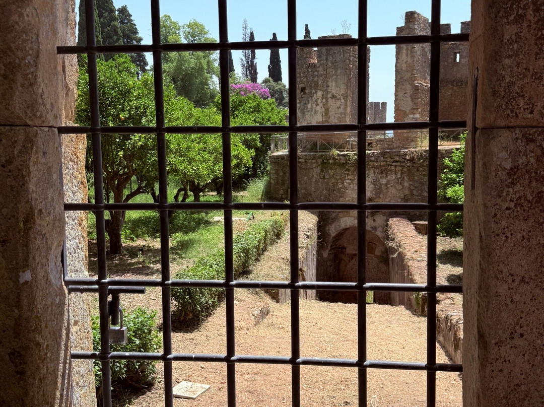 Castelo de Tomar-Tomar必去景点