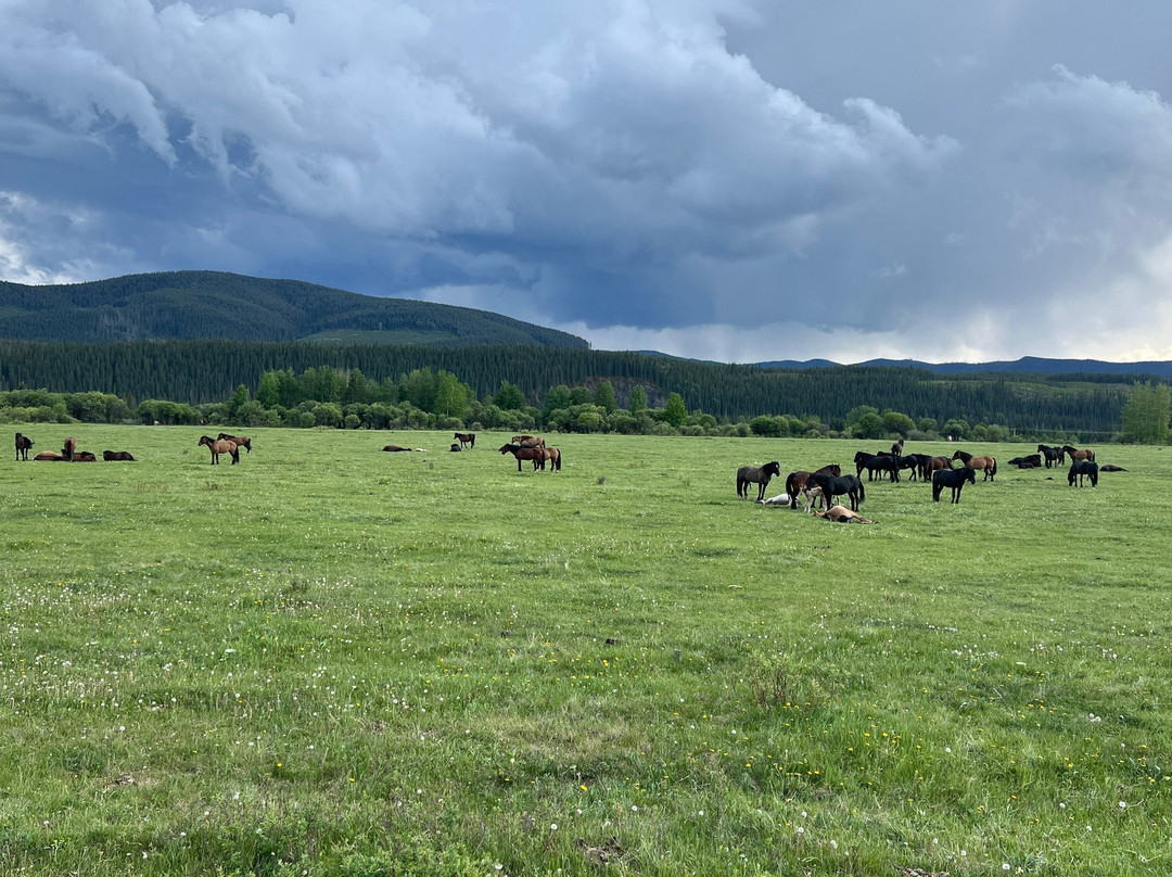 Mukwah Rafting Tours Day Tours-桑德必去景点