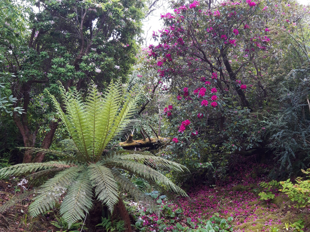 Leckmelm Shrubbery & Arboretum-阿勒浦必去景点