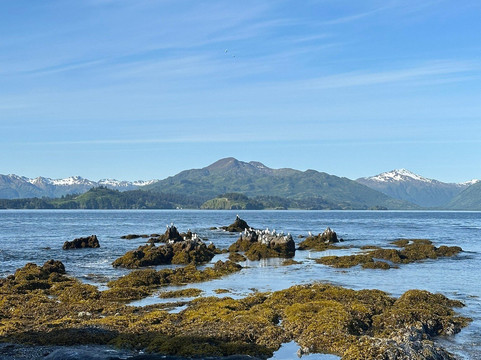 Kayak Kodiak LLC-Kodiak必去景点