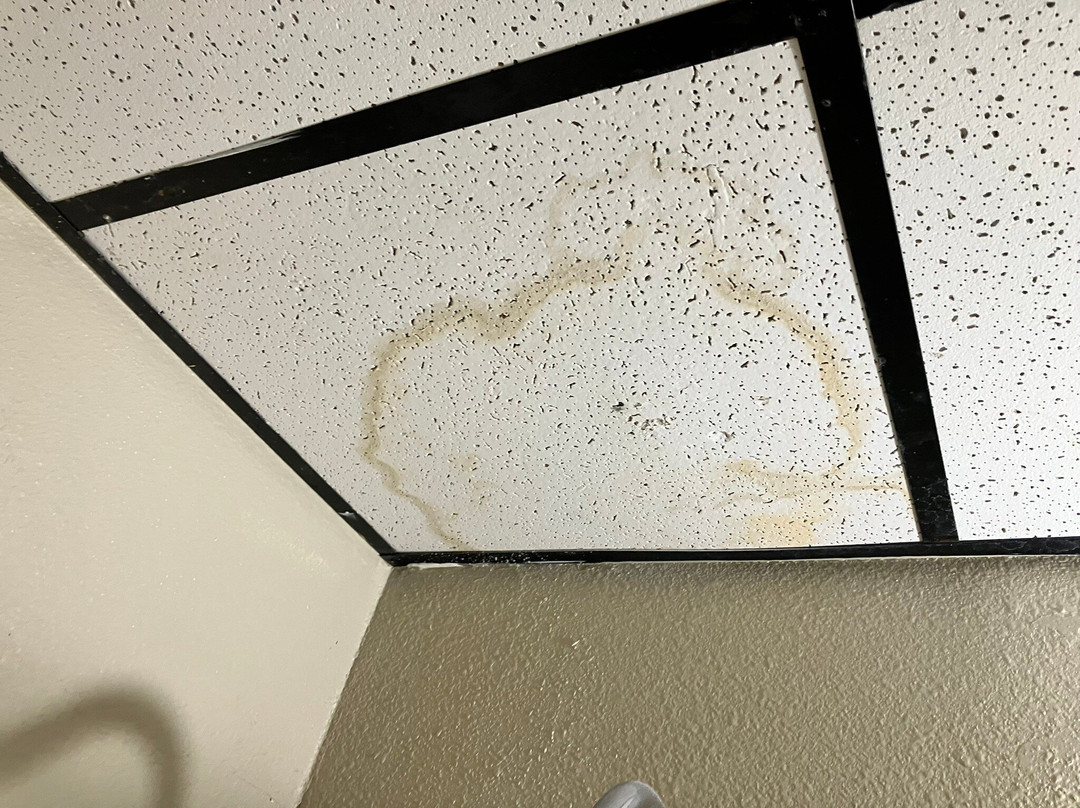 Super 8 by Wyndham Kimball主图