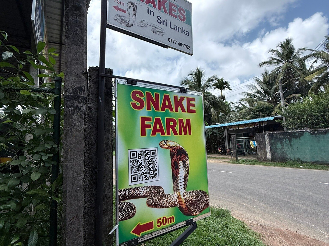 Snake Farm Weligama (Traditional Farm)-瓦勒迦玛必去景点