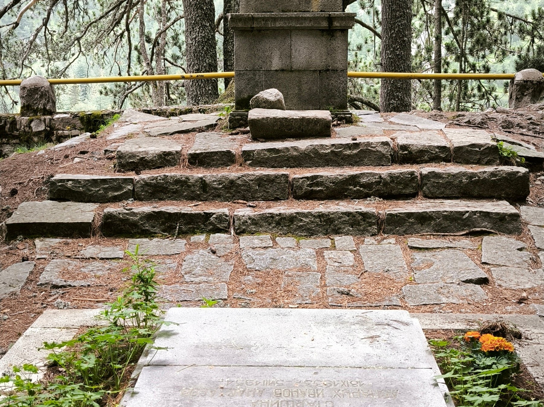 Baikushev's Pine-Pirin必去景点
