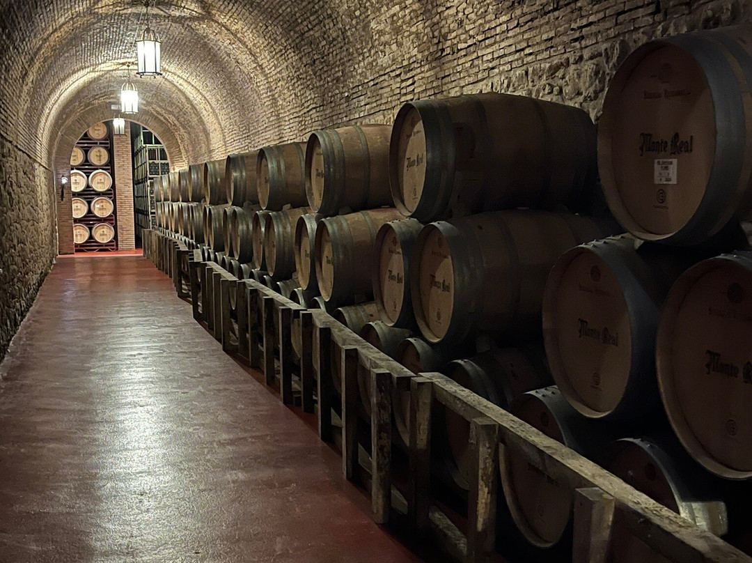 Bodegas Riojanas-Cenicero必去景点