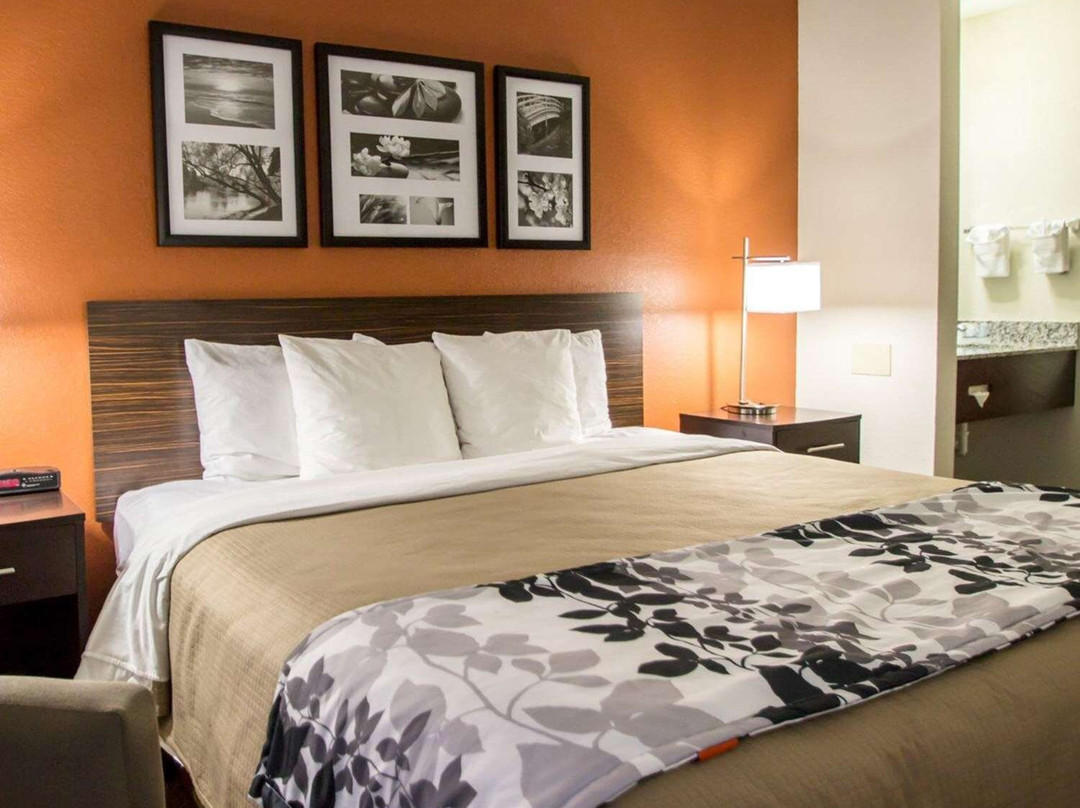 奥蒙德海滩酒店住宿-Sleep Inn Ormond Beach - Daytona