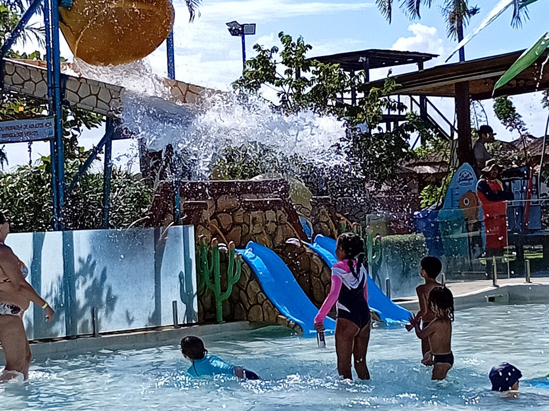 Lagoa dos Tambaquis-阿拉卡茹必去景点