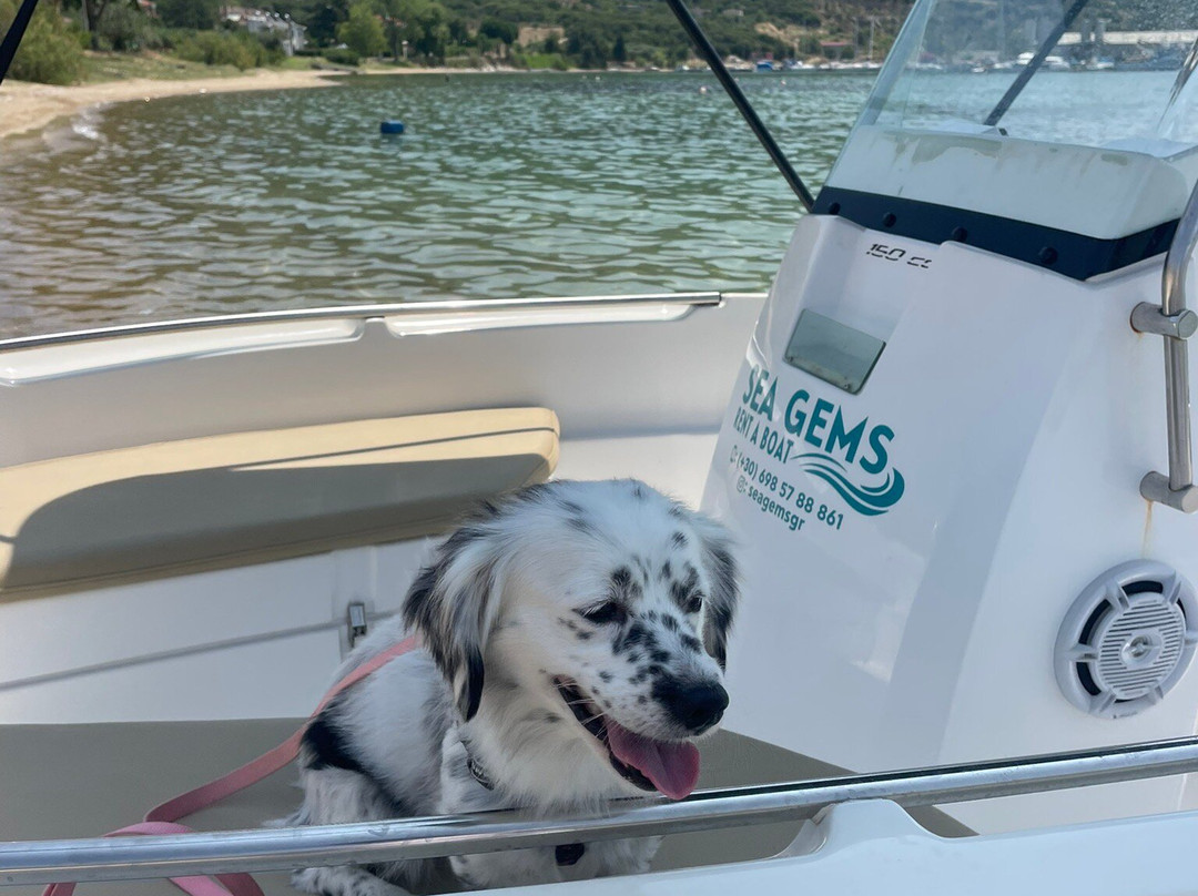 Sea Gems Boat Rental-新派拉莫斯必去景点