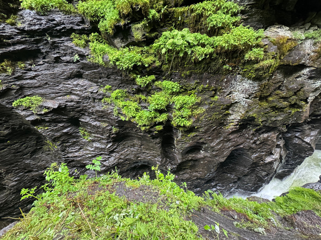 Bordalsgjelet Gorge-沃斯市必去景点