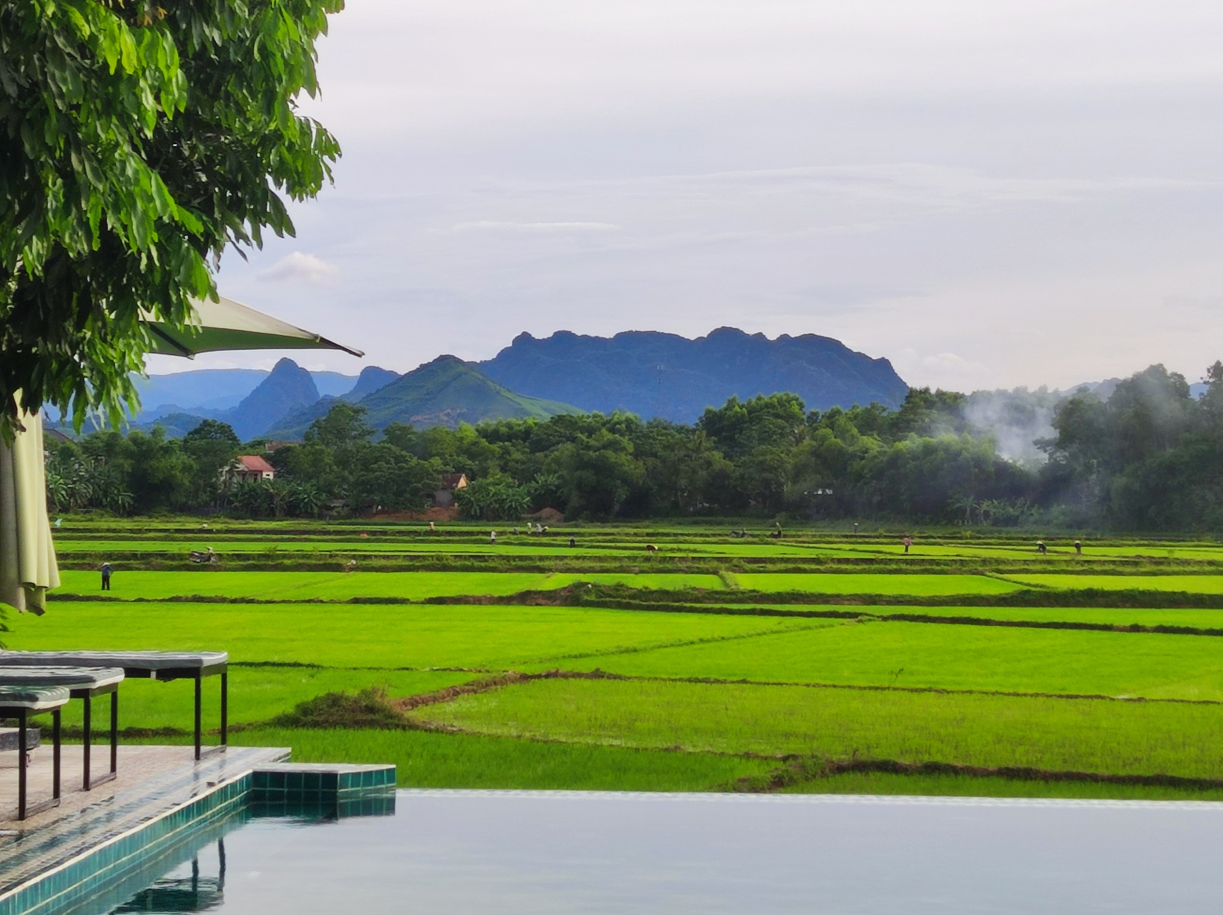 Greenfield Ecostay-官方