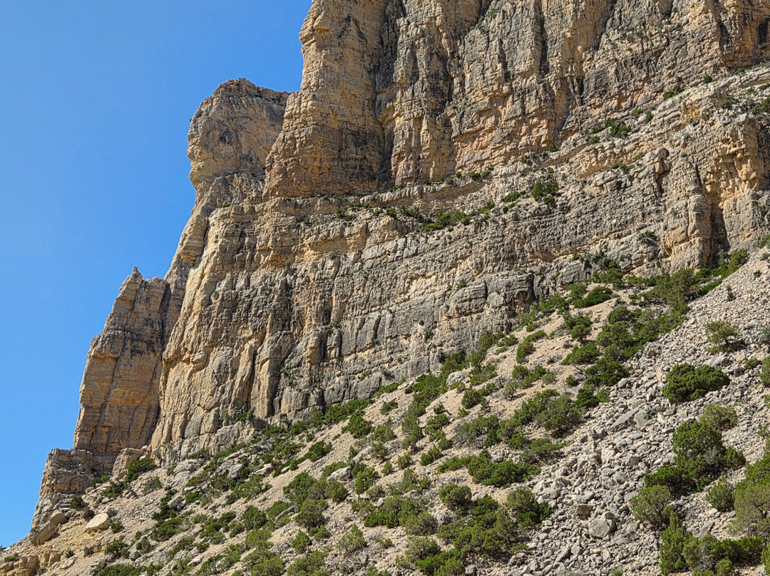 Hidden Treasure Day Charters-Lovell必去景点