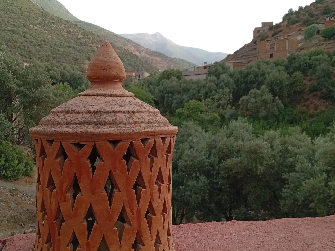 Salama Ayurveda主图