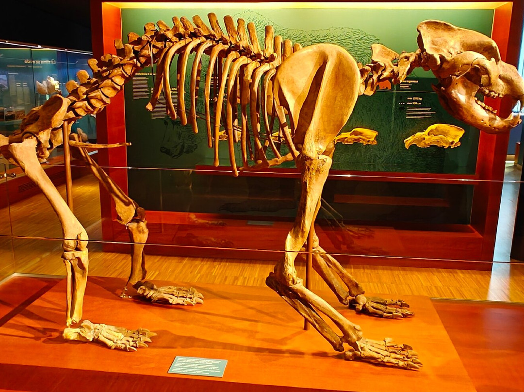 Museum Ladin Ursus ladinicus-圣卡夏诺必去景点
