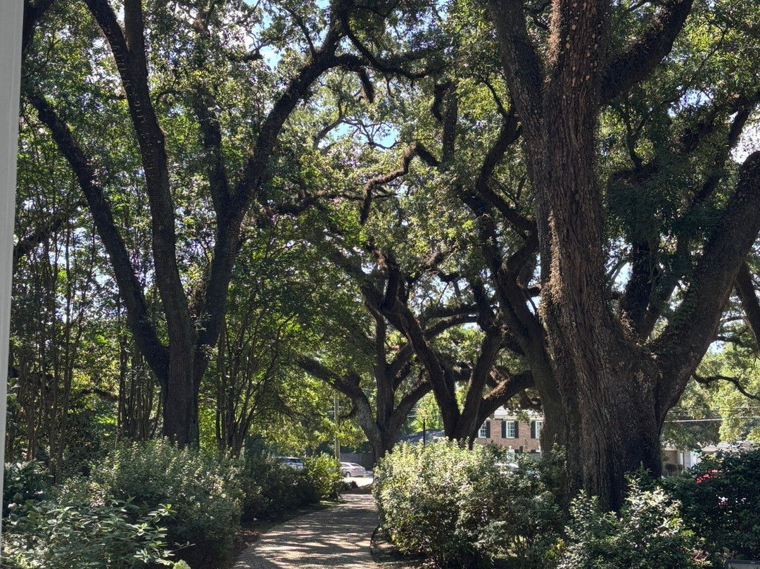 Bragg-Mitchell Mansion-莫比尔必去景点