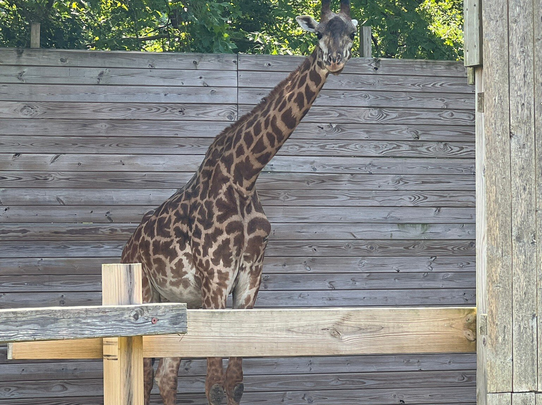 Lehigh Valley Zoo-Schnecksville必去景点