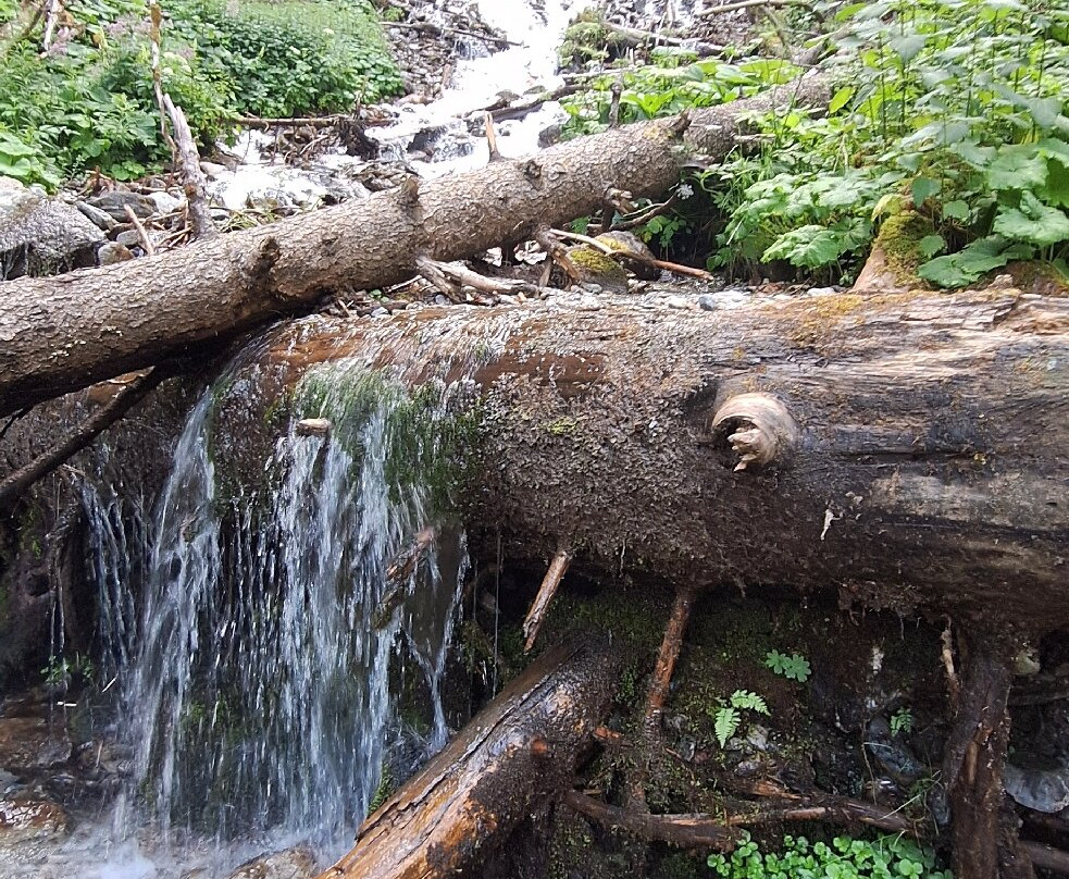 Cascada da Pisch-Mustair必去景点