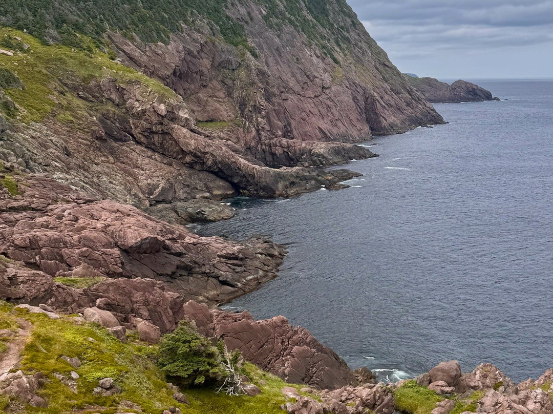 Cobbler's Path Trail-Logy Bay - Middle Cove - Outer Cove必去景点