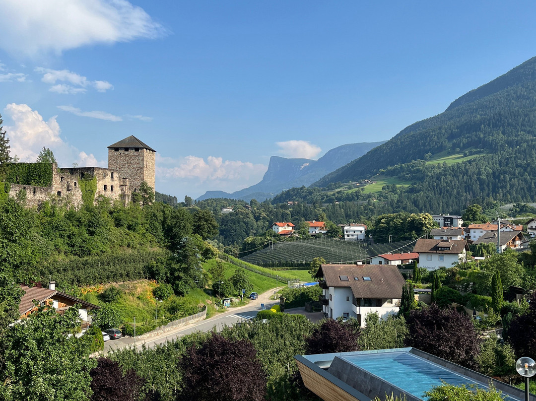 Hotel Der Waldhof主图