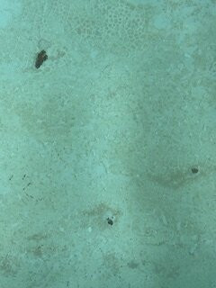 Hampton Inn & Suites By Hilton Marshalltown主图