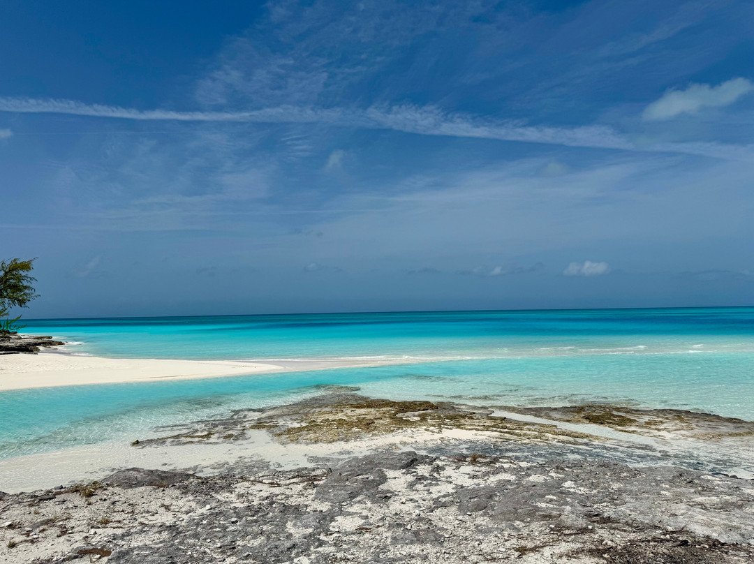 Yan Turnquest Fishing and Eco Tour Charter-Deadman's Cay必去景点