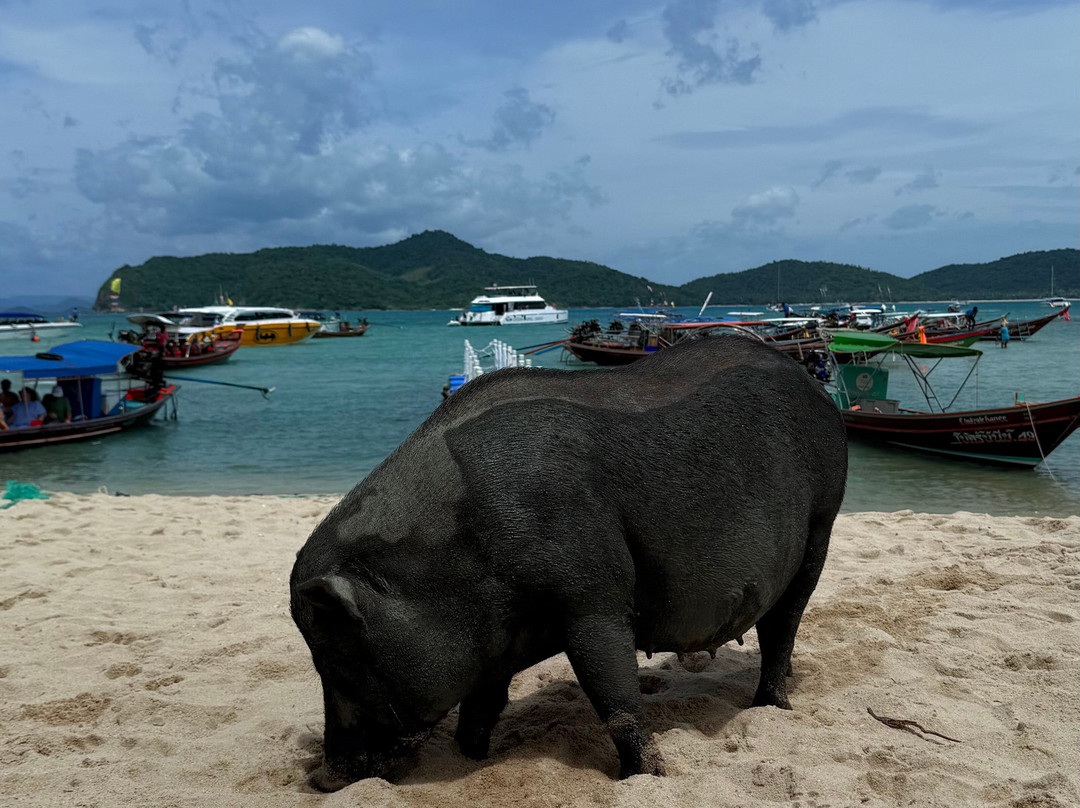 Ocean King Samui-利巴诺伊必去景点