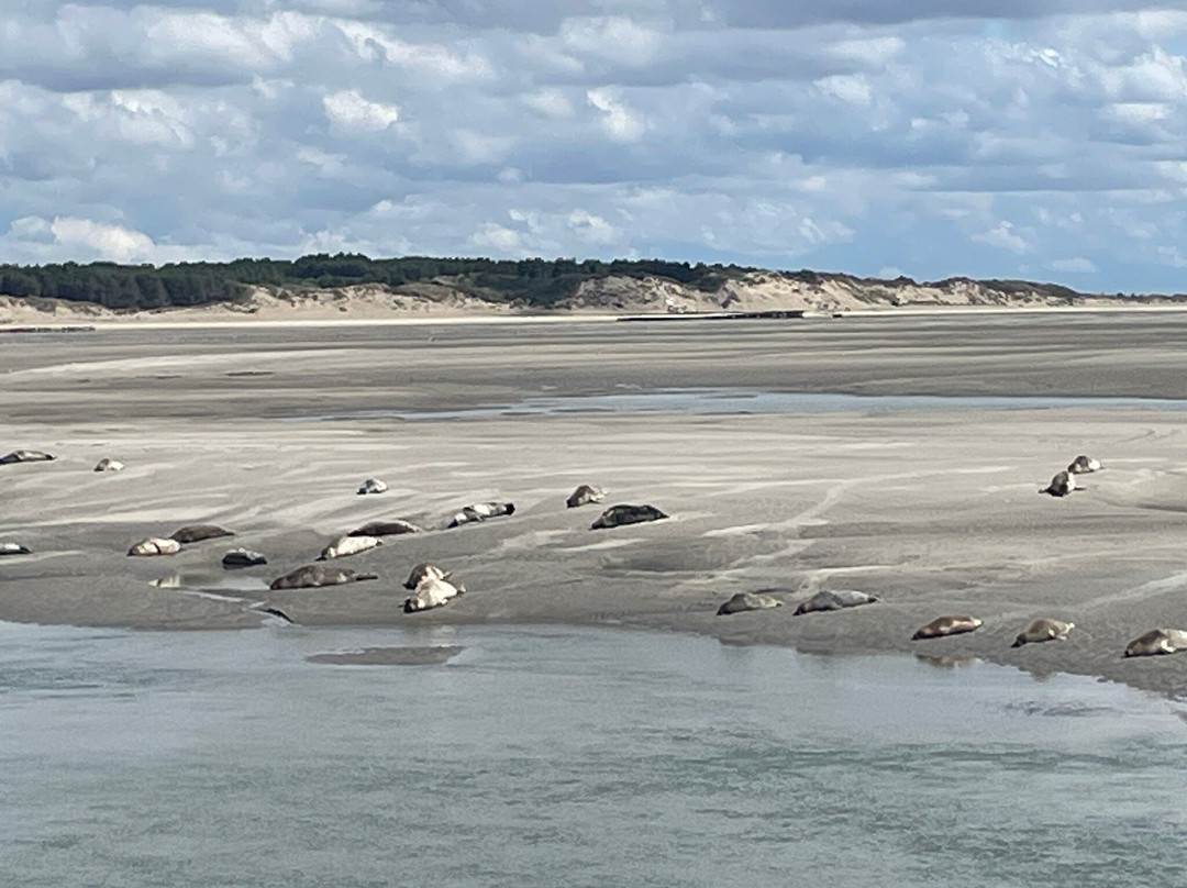Les Phoques de la Baie d'Authie-Berck必去景点
