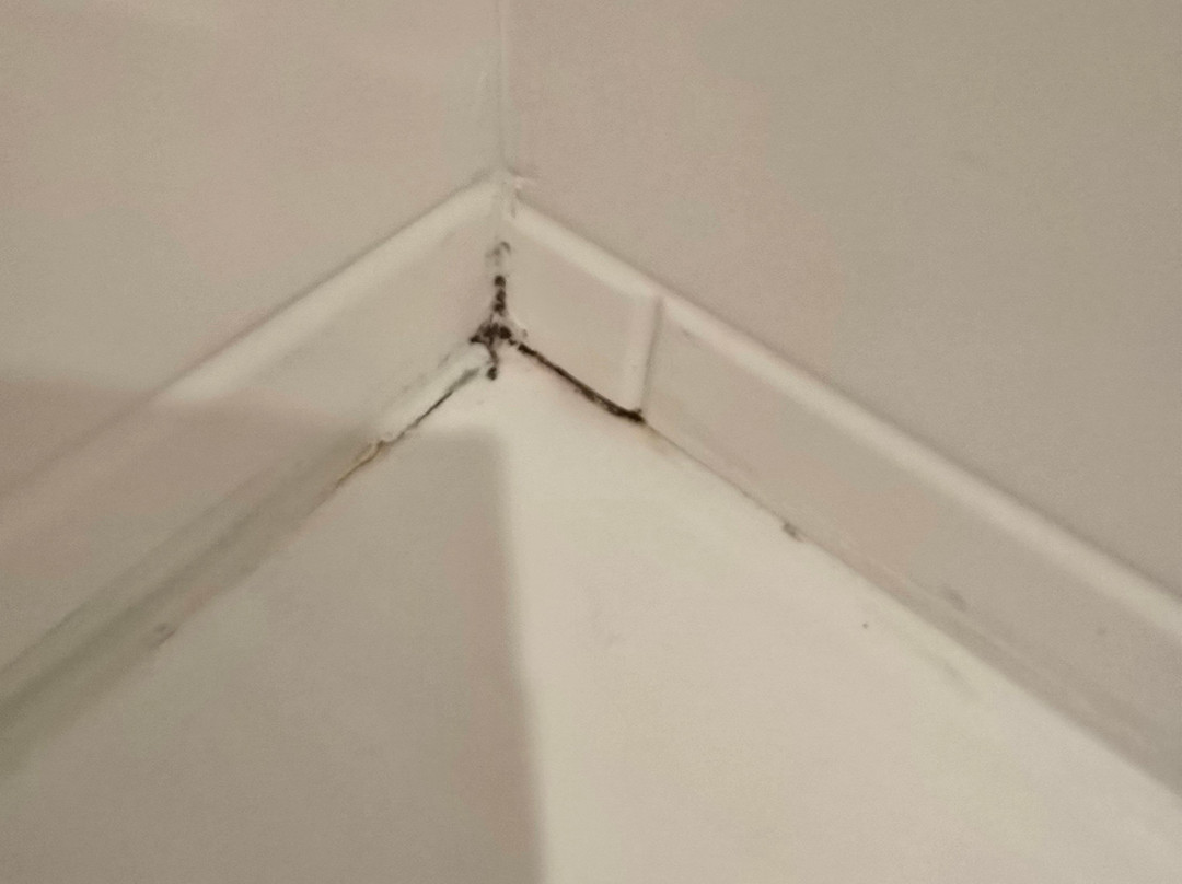 Hampton Inn Snyder主图