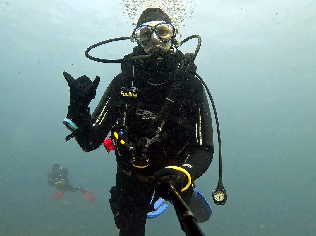 Gold Coast Dive Adventures-Runaway Bay必去景点