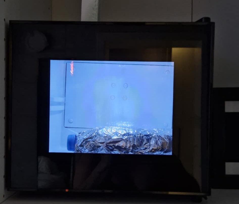 里士满贝斯特韦斯特酒店主图