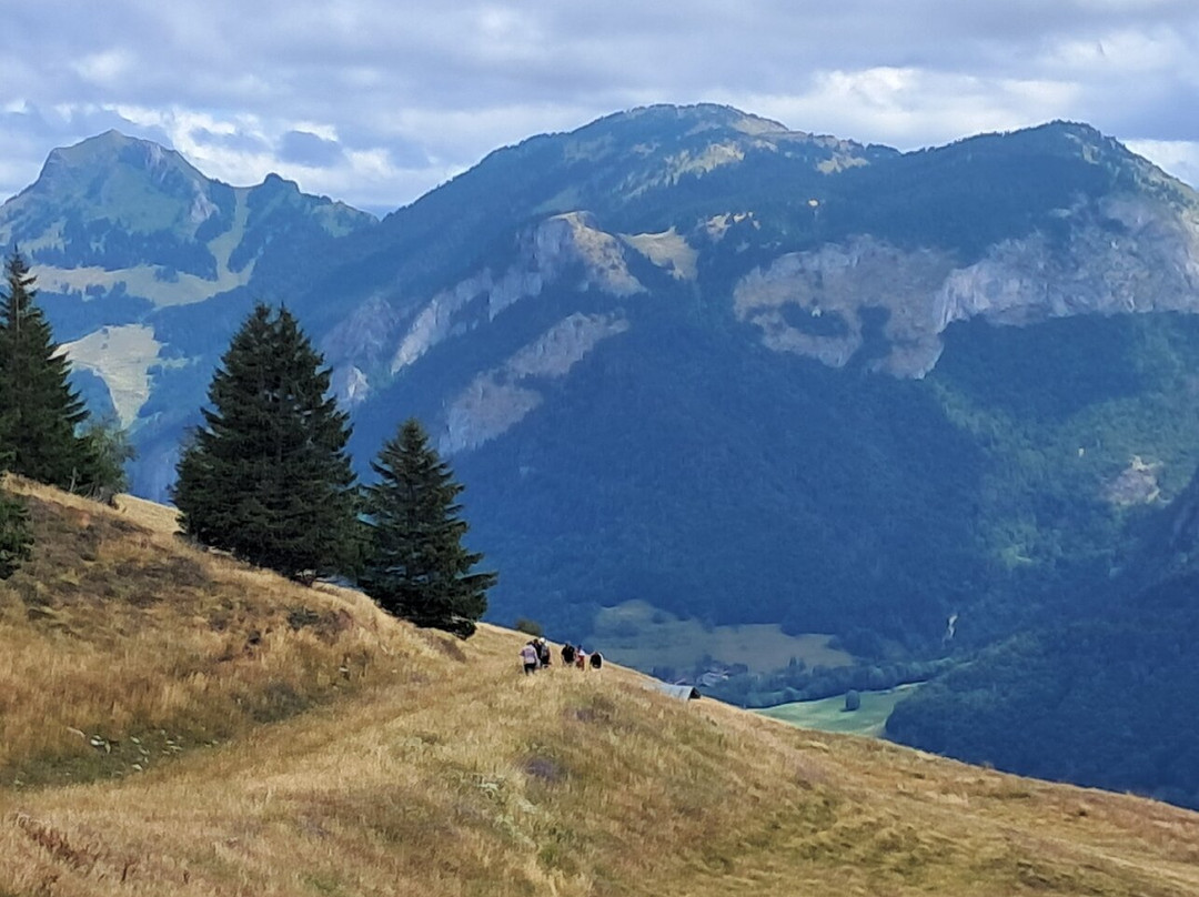 Station de Ski Hirmentaz - Bellevaux-Bellevaux必去景点
