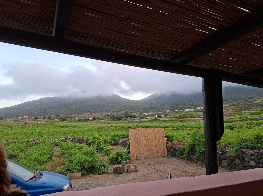 Cantina Mueggen di Salvatore Murana-潘泰莱里亚必去景点