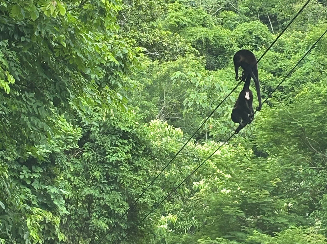 Go Corcovado-Bahia Drake必去景点