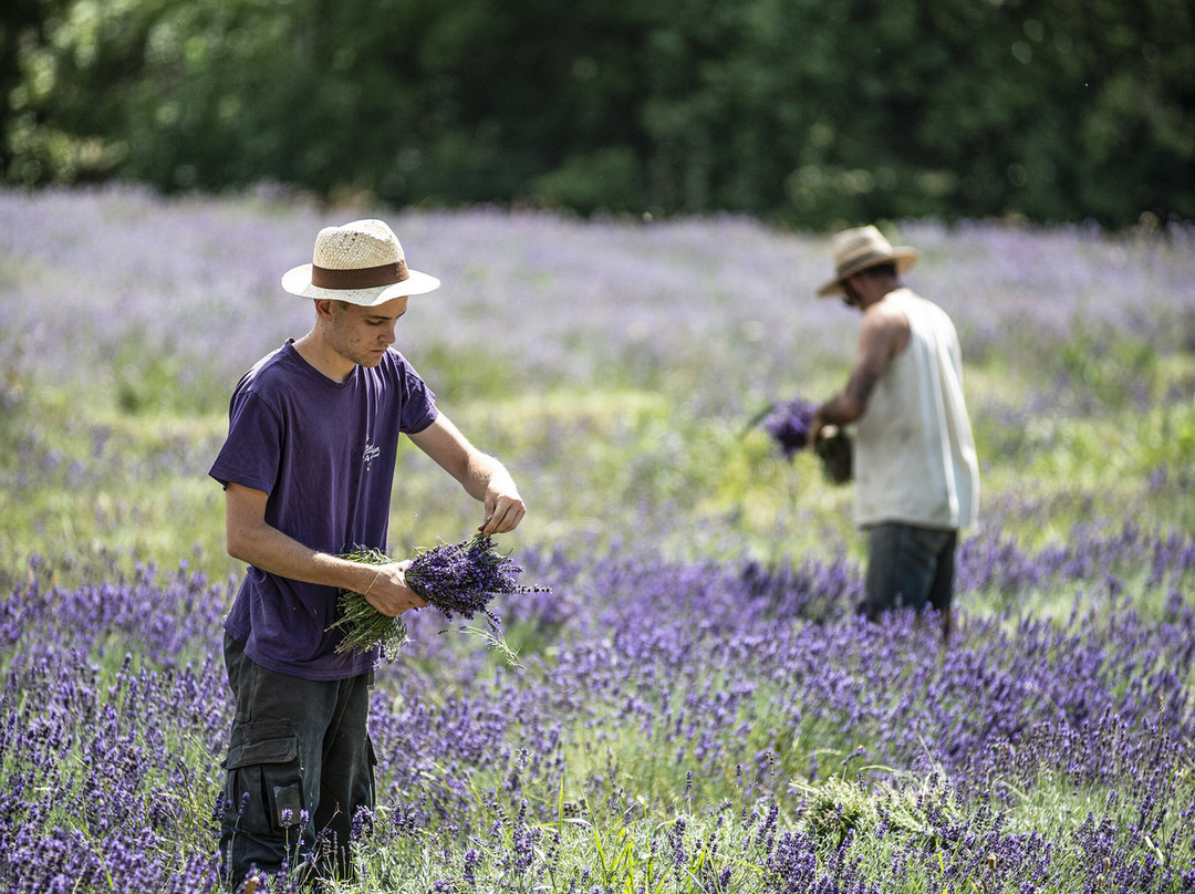 Distillerie des 4 Vallées-Chamaloc必去景点