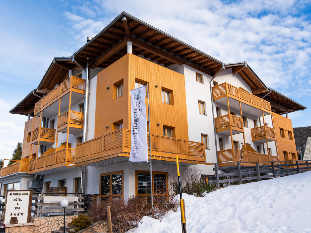 Hotel Alpine Mugon主图