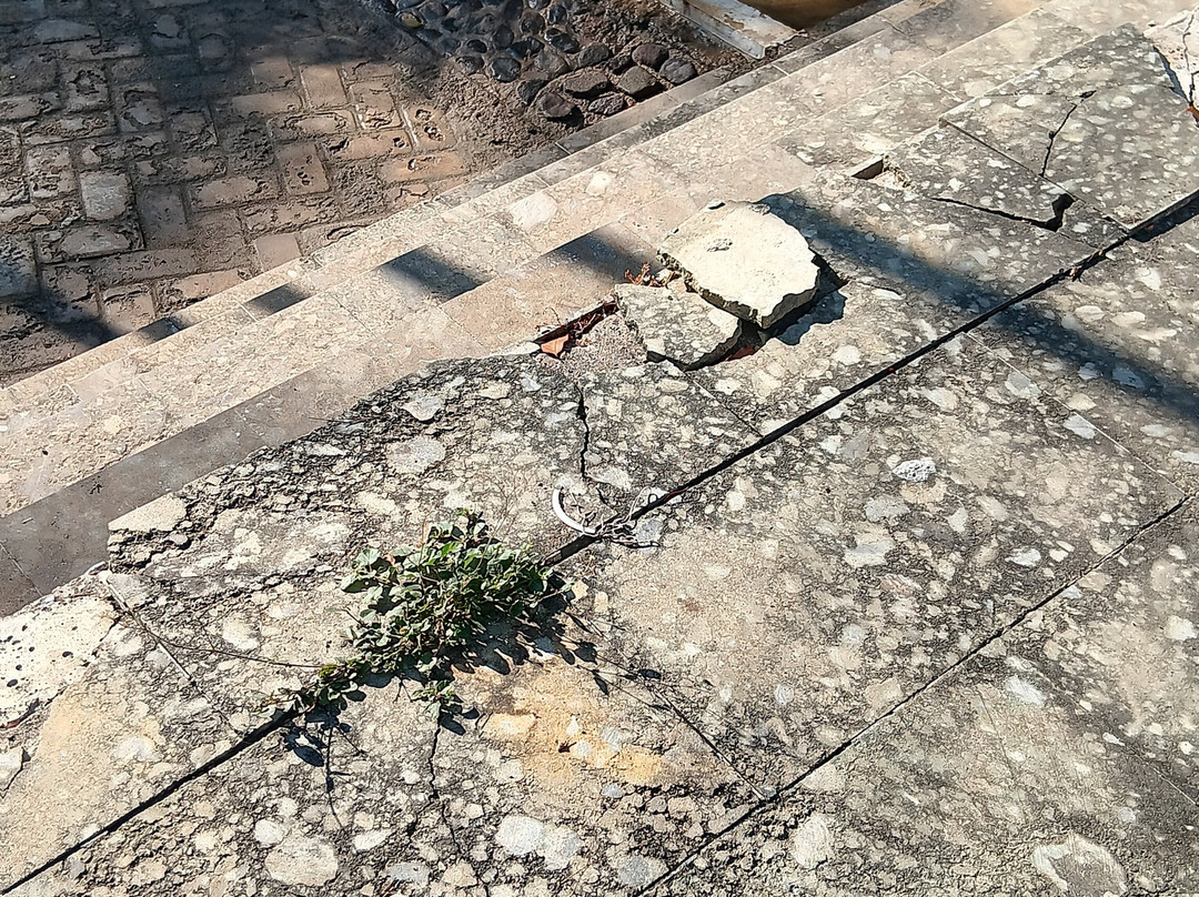 蓝海浮潜中心-Gili Air必去景点