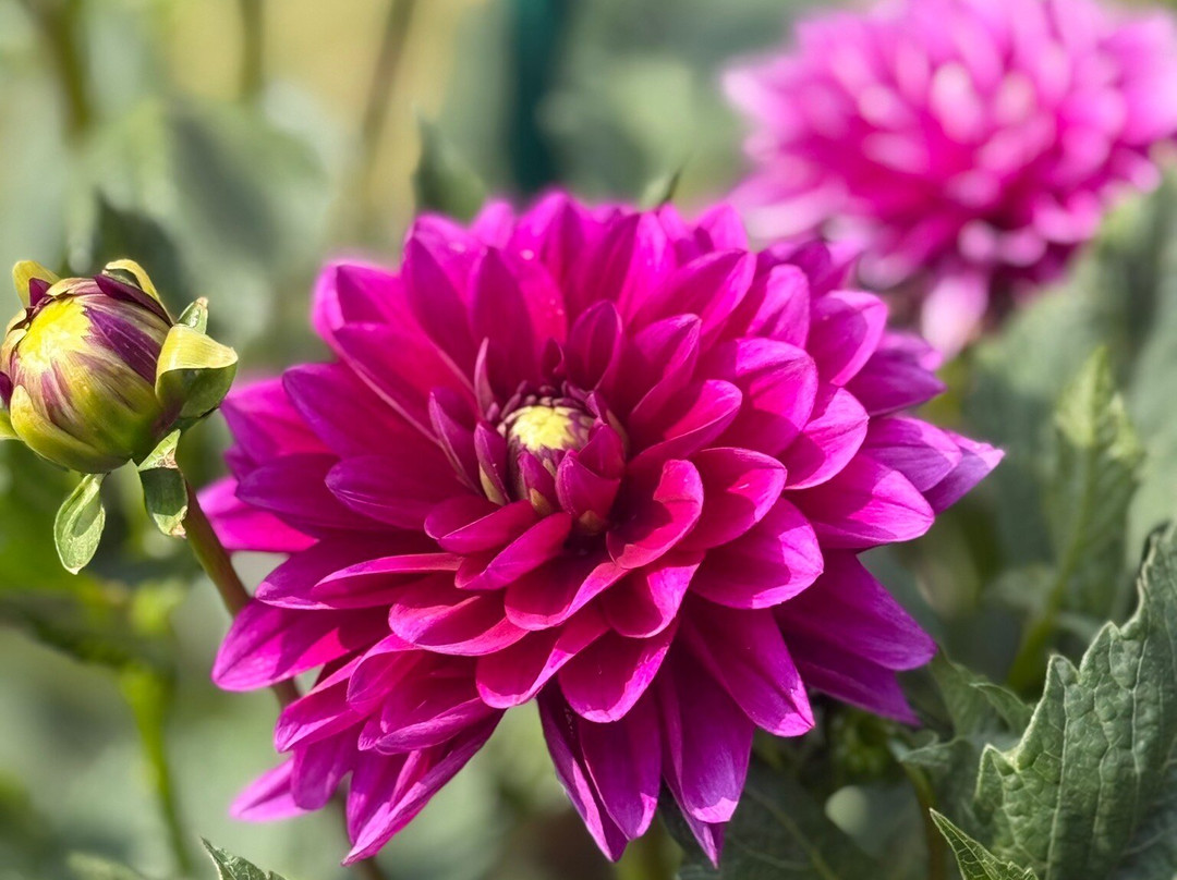 Im Malerwinkel主图