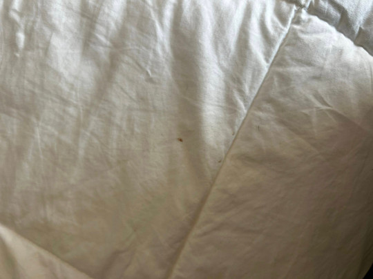 Quality Inn Seymour I-65主图