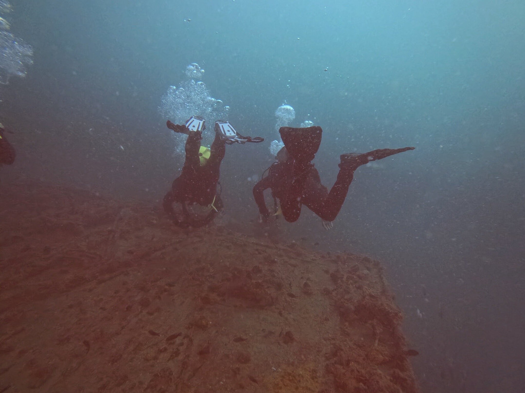 Isamar Diving Center-基奥贾必去景点