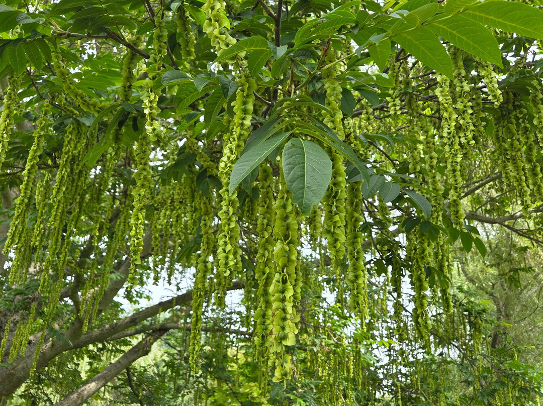 Mandelmanns Tradgardar-Simrishamn必去景点
