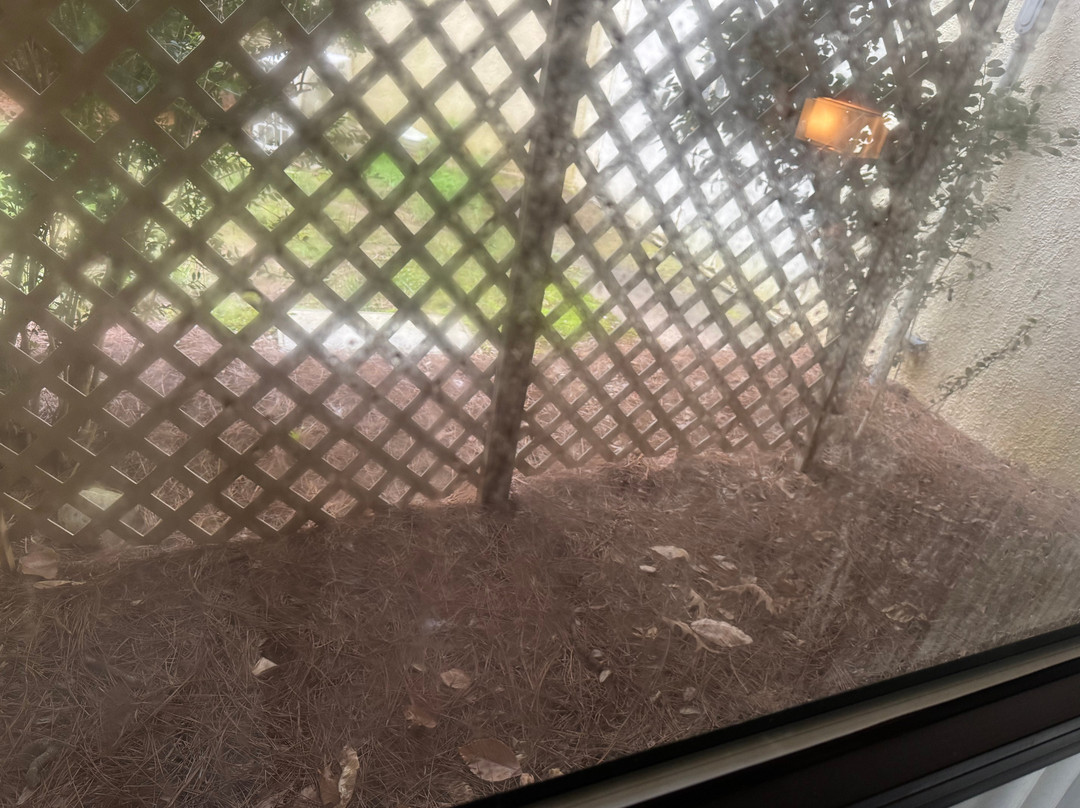 格林斯博罗高点机场万豪酒店主图