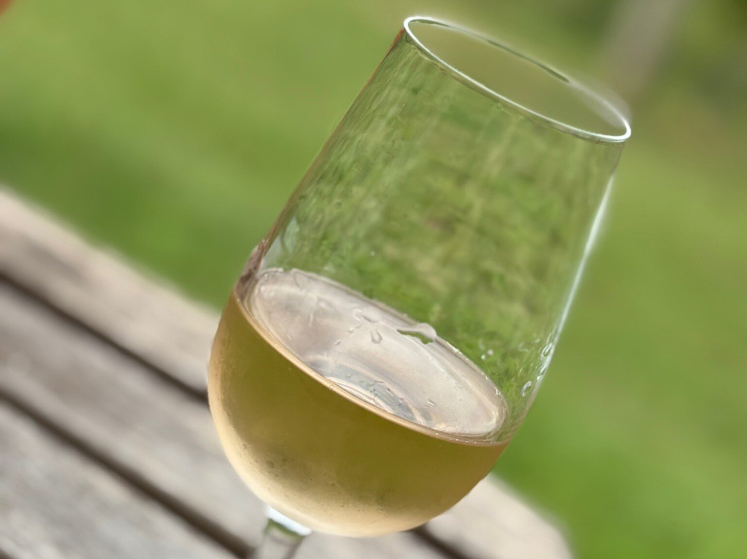 Albury Organic Vineyard-Albury必去景点