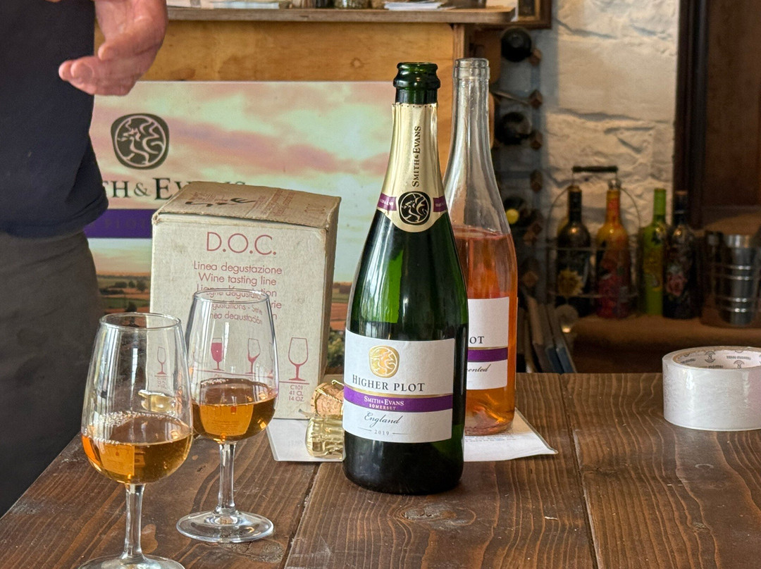 Smith and Evans Somerset Wine-Langport必去景点